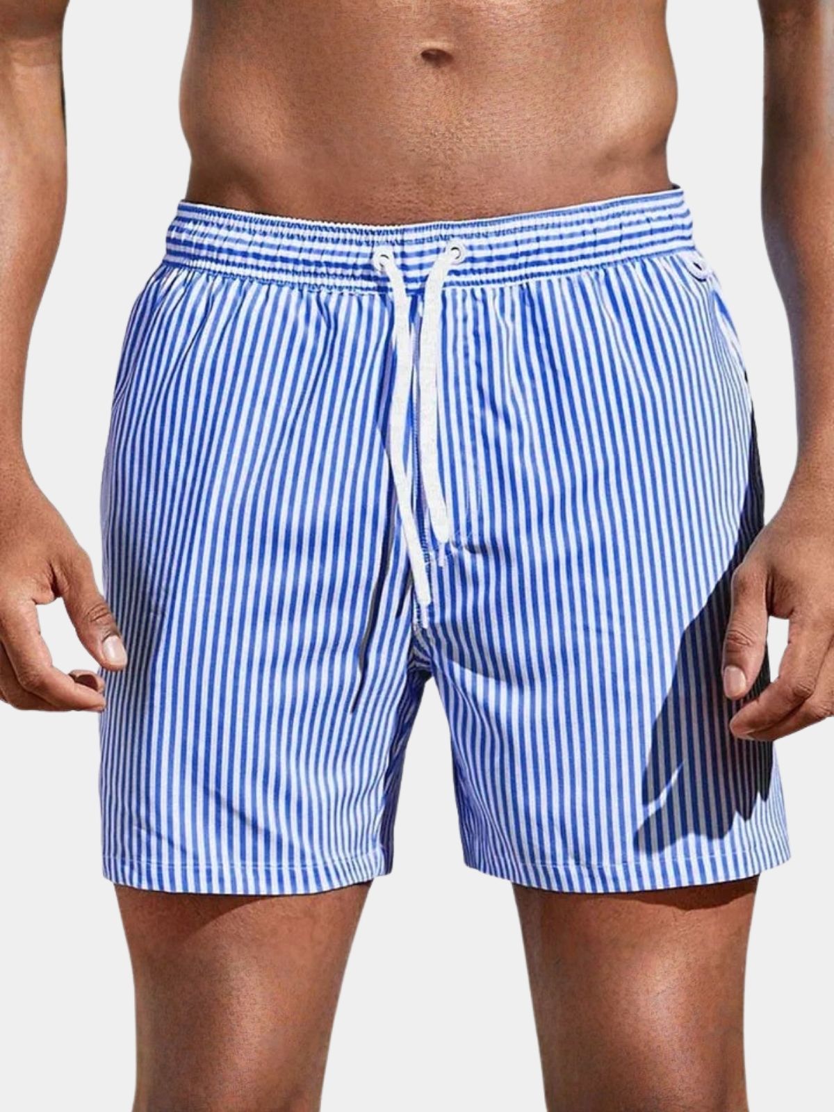 Men's Striped Swim Shorts