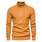 Men's Ribbed Roll Neck Jumper